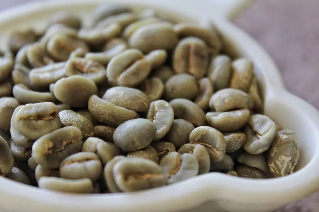 咖啡中的綠原酸是什么？
